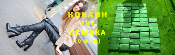 соль ск Каменногорск