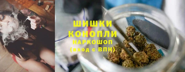 МДПВ Козловка
